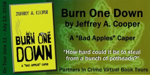 BURN ONE DOWN by Jeffrey A. Cooper | Banner