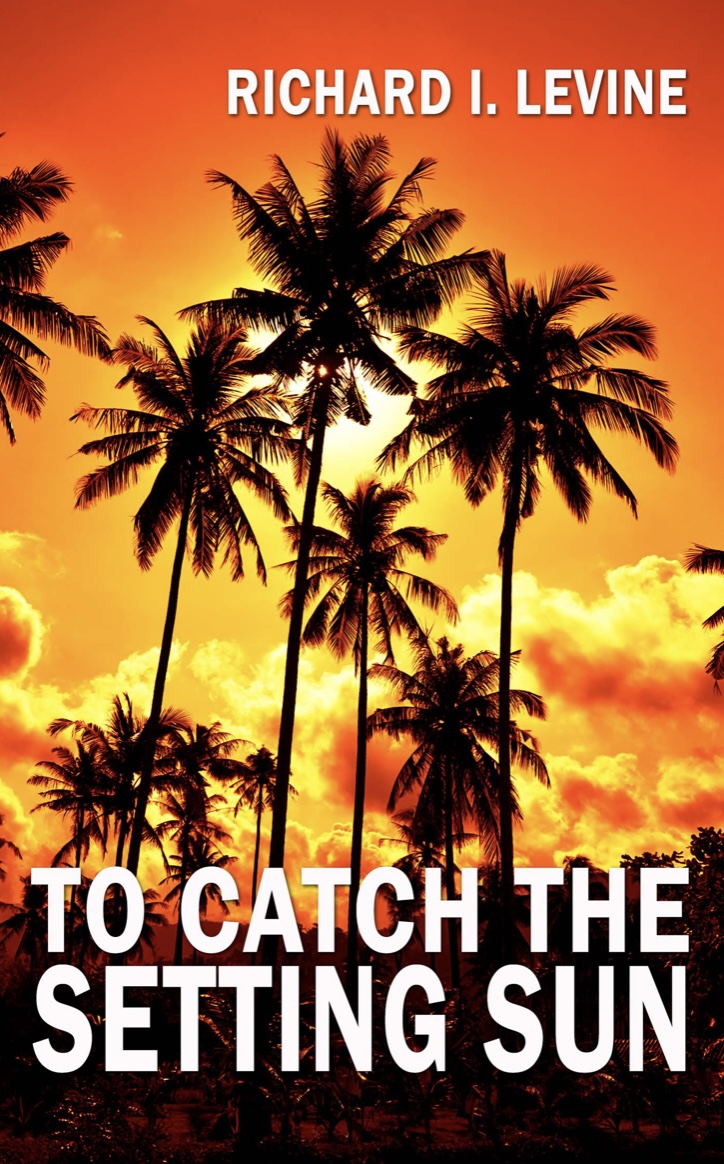 To Catch The Setting Sun by Richard I Levine
