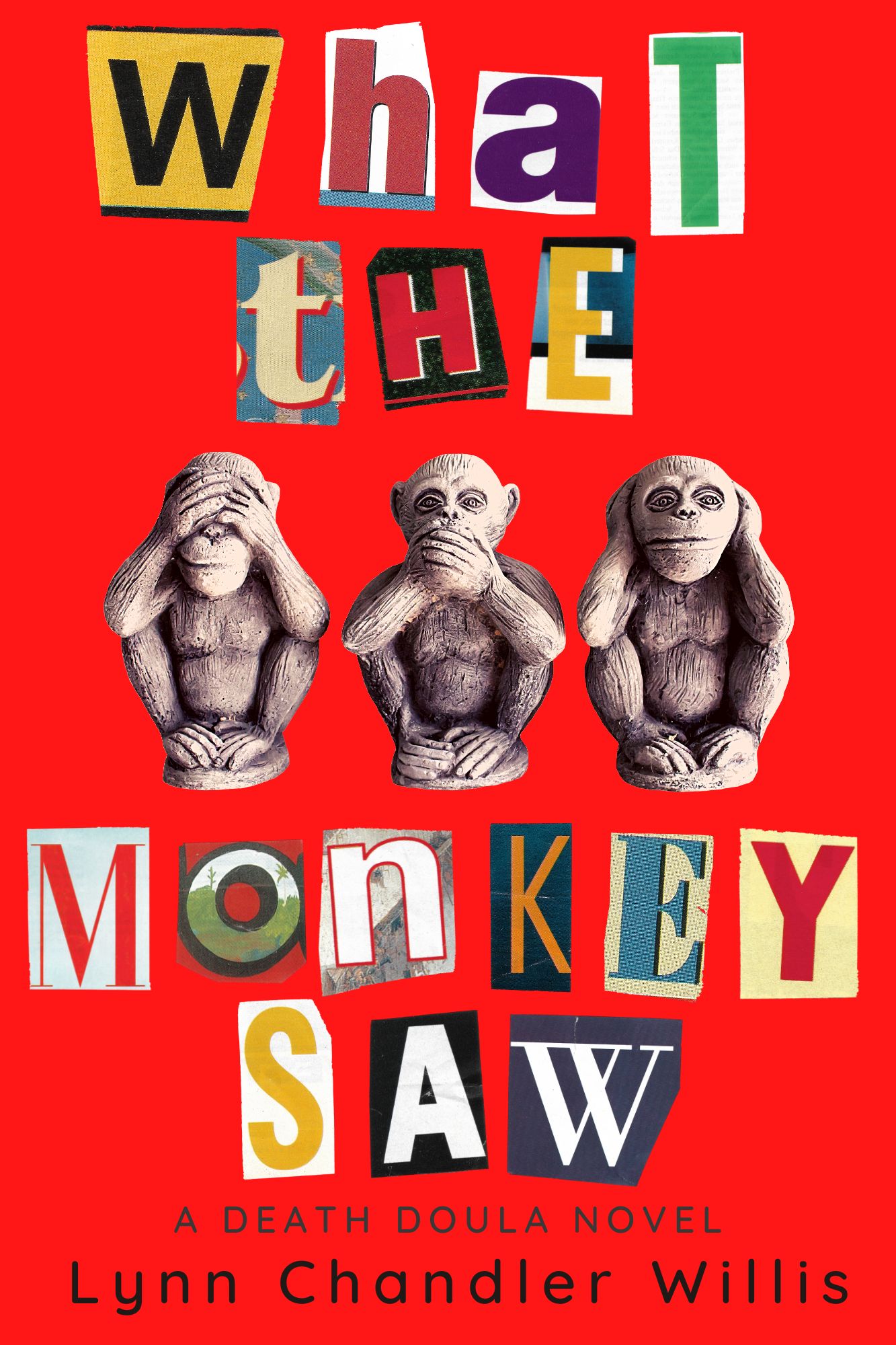 What the Monkey Saw by Lynn Chandler Willis