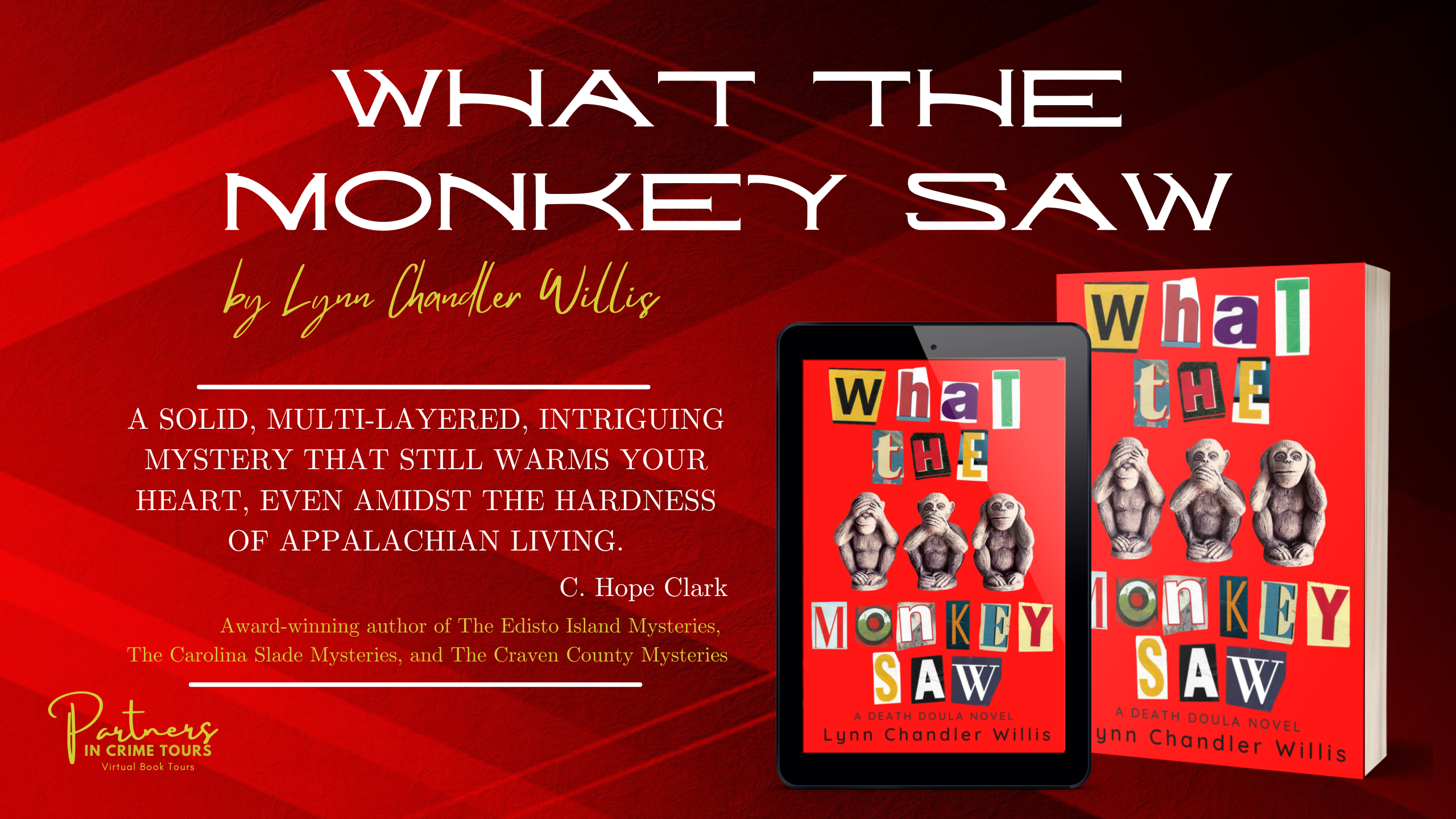 What the Monkey Saw by Lynn Chandler Willis Banner