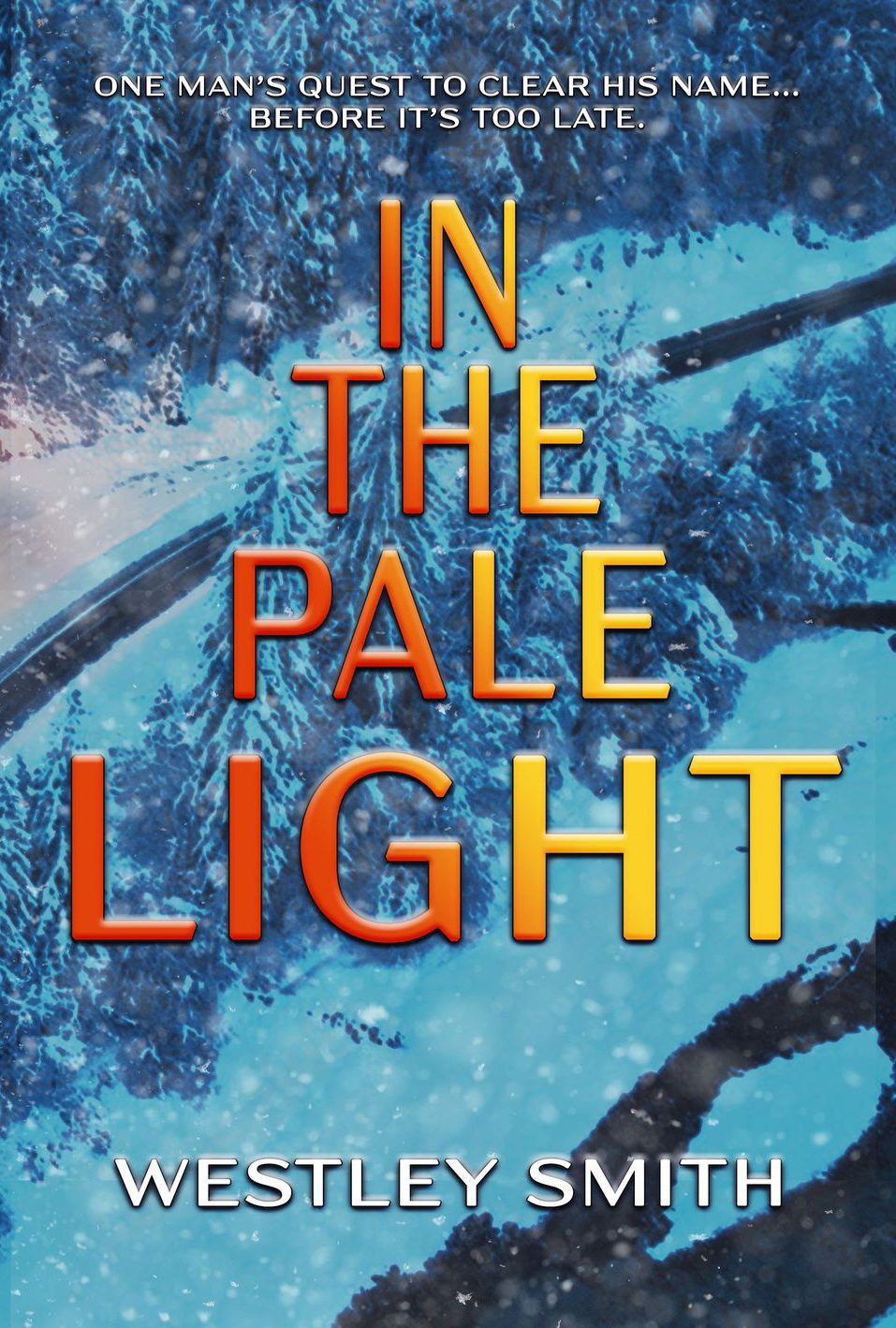 In the Pale Light by Westley Smith