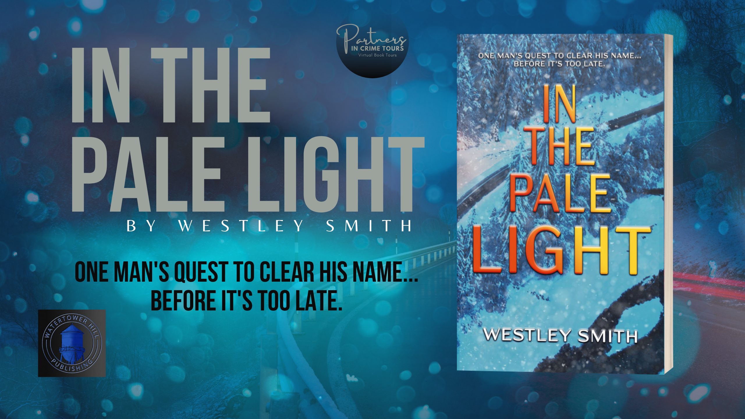 In the Pale Light by Westley Smith Banner