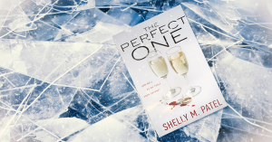 The Perfect One by Shelly M Patel