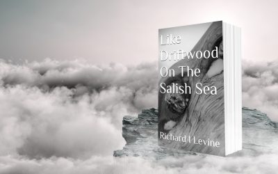 Like Driftwood on the Salish Sea by Richard I Levine