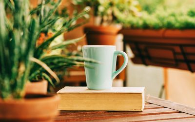 Murder Strikes a Pose by Tracy Weber