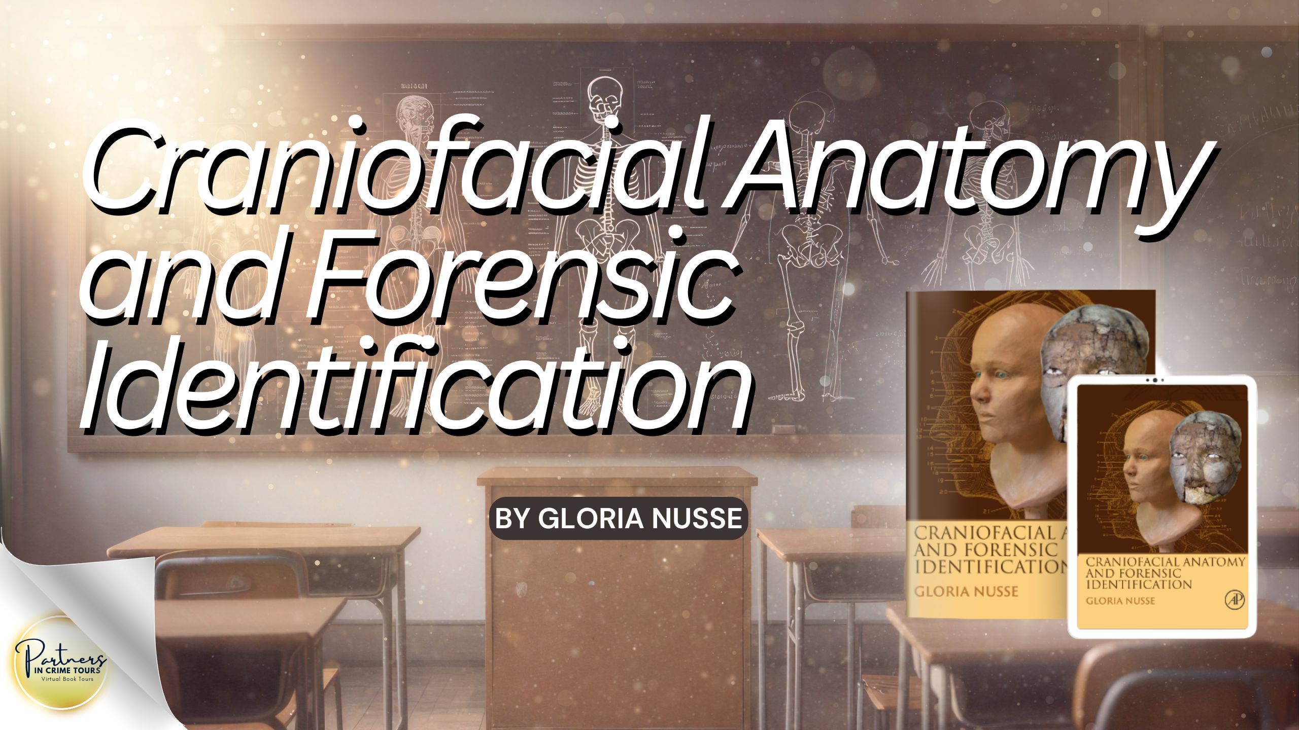 Craniofacial Anatomy and Forensic Identification by Gloria Nusse Banner