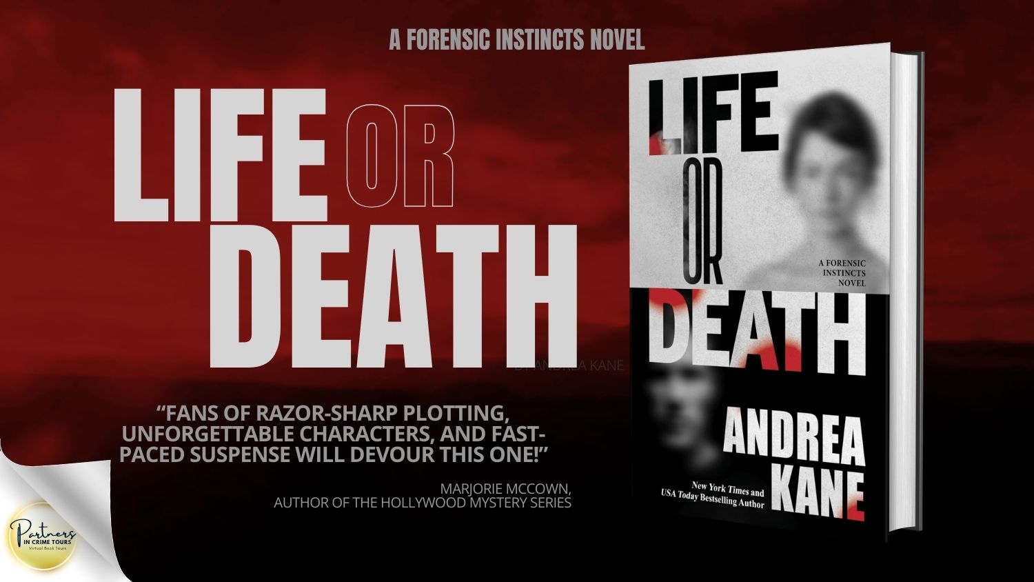 Life Or Death by Andrea Kane Banner
