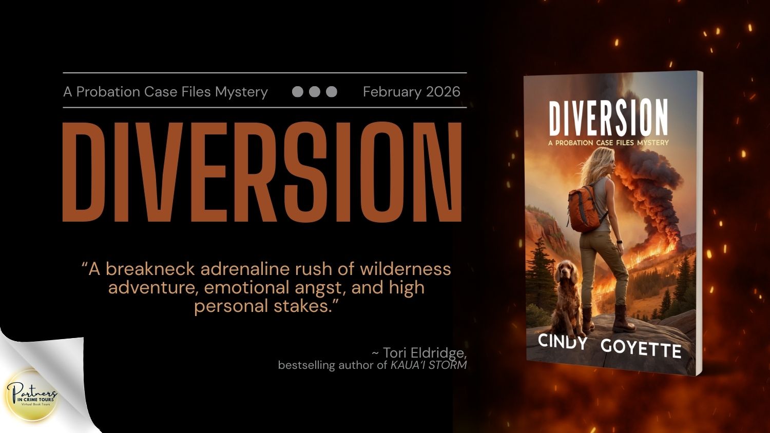Diversion by Cindy Goyette Banner
