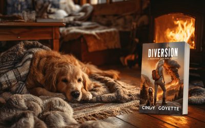 Diversion by Cindy Goyette
