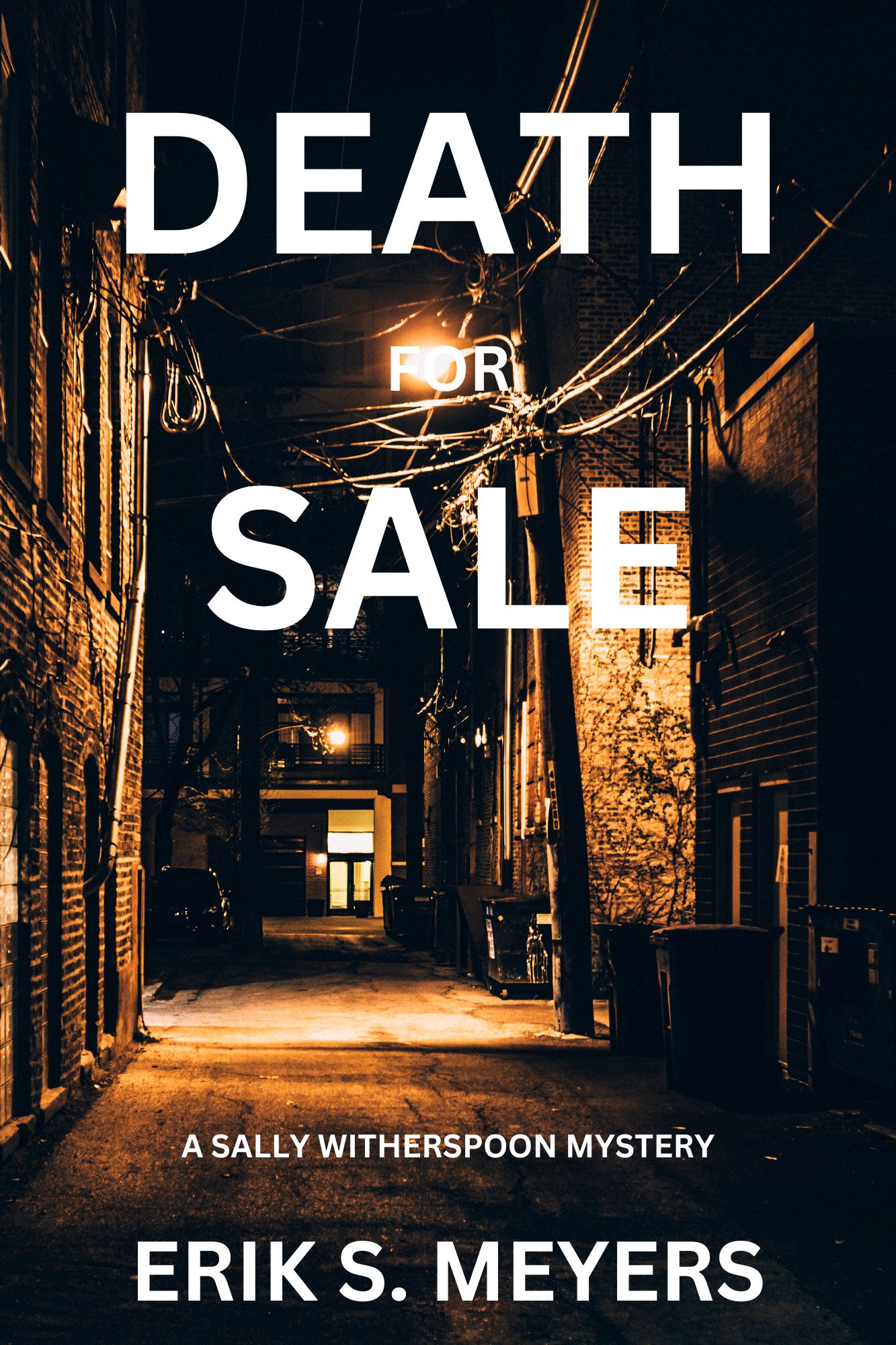 DEATH FOR SALE by Erik S Meyers