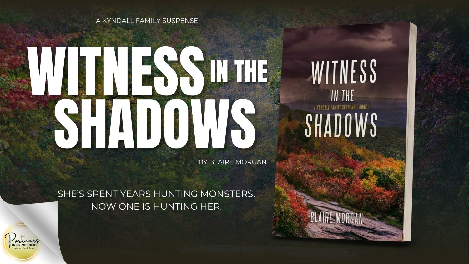 Witness in the Shadows by Blaire Morgan Banner