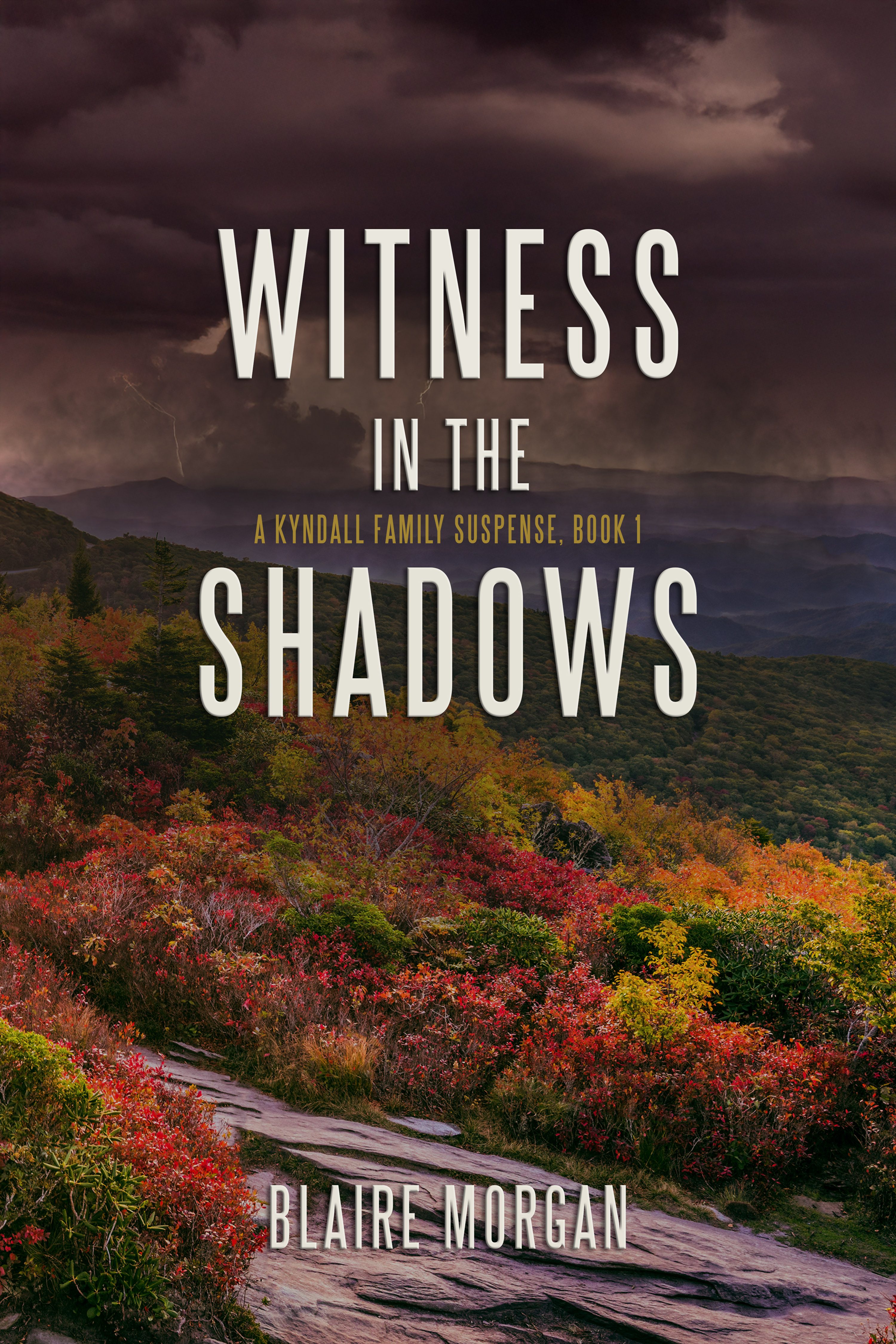 WITNESS IN THE SHADOWS by Blaire Morgan