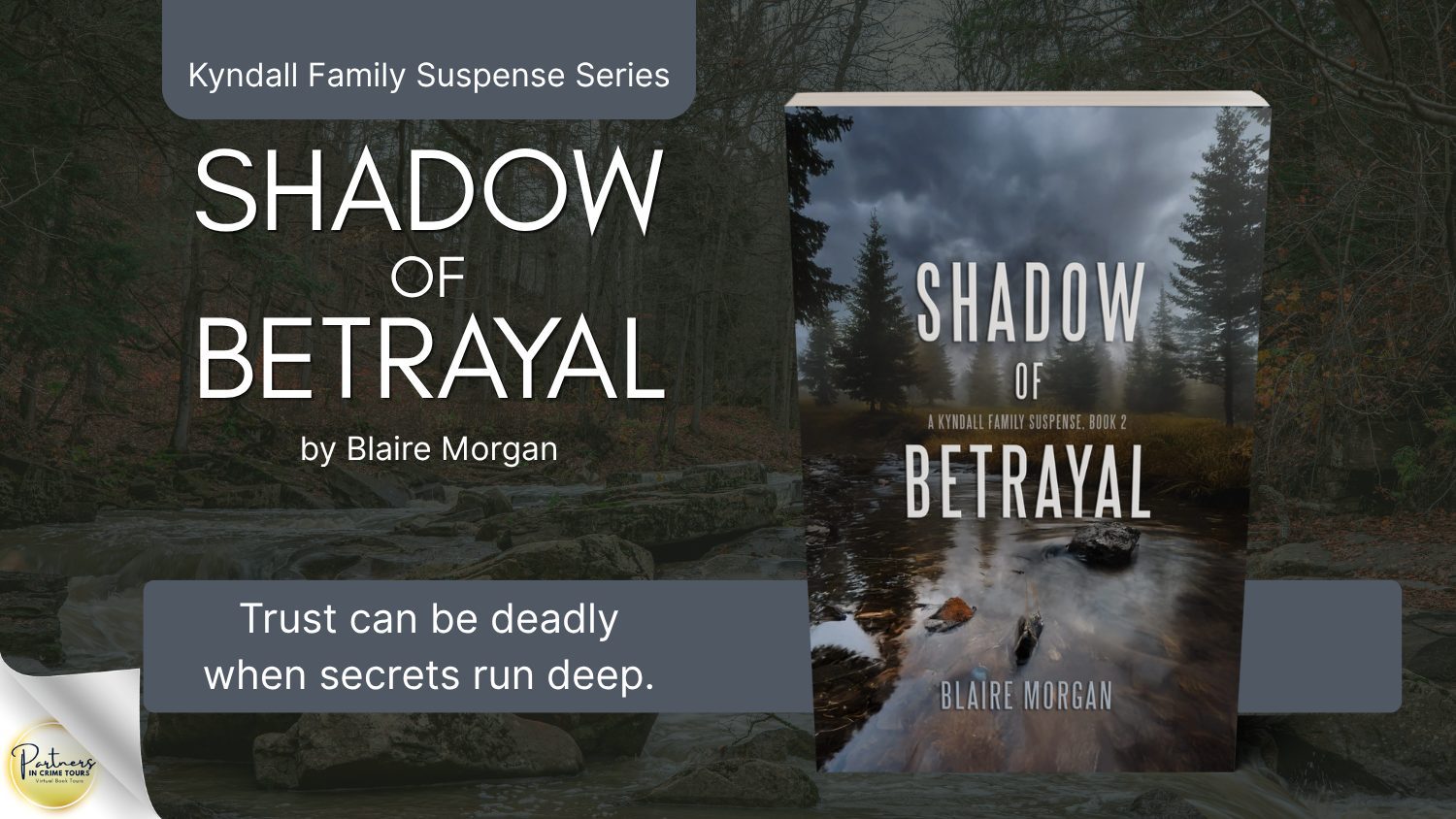Shadow of Betrayal by Blaire Morgan Banner