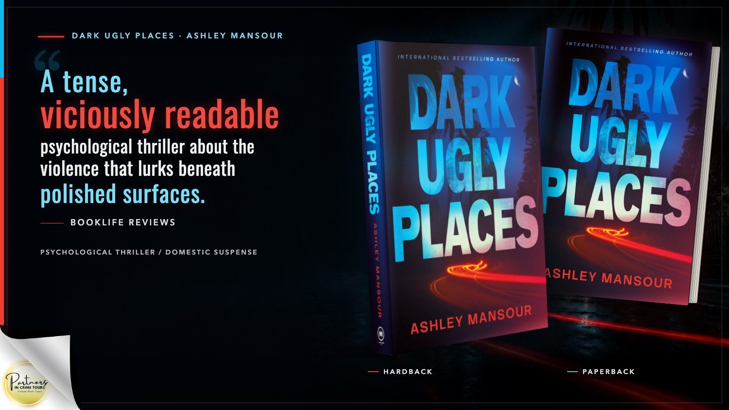 Dark Ugly Places by Ashley Mansour Banner