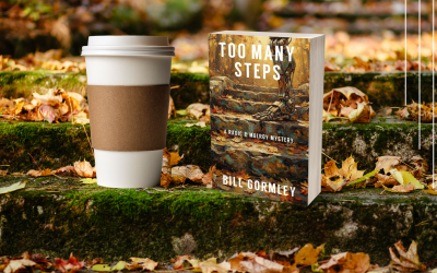Too Many Steps by Bill Gormley