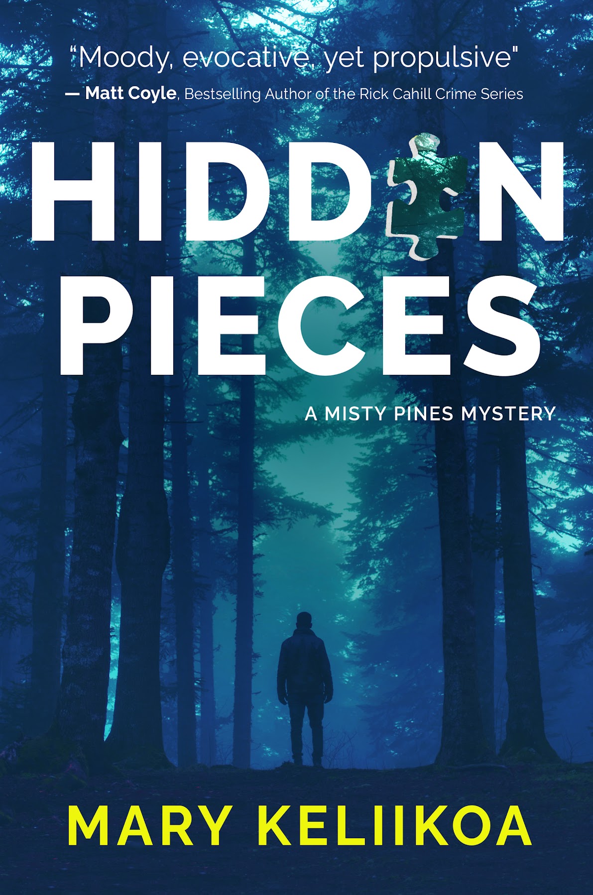 Hidden Pieces by Mary Keliikoa