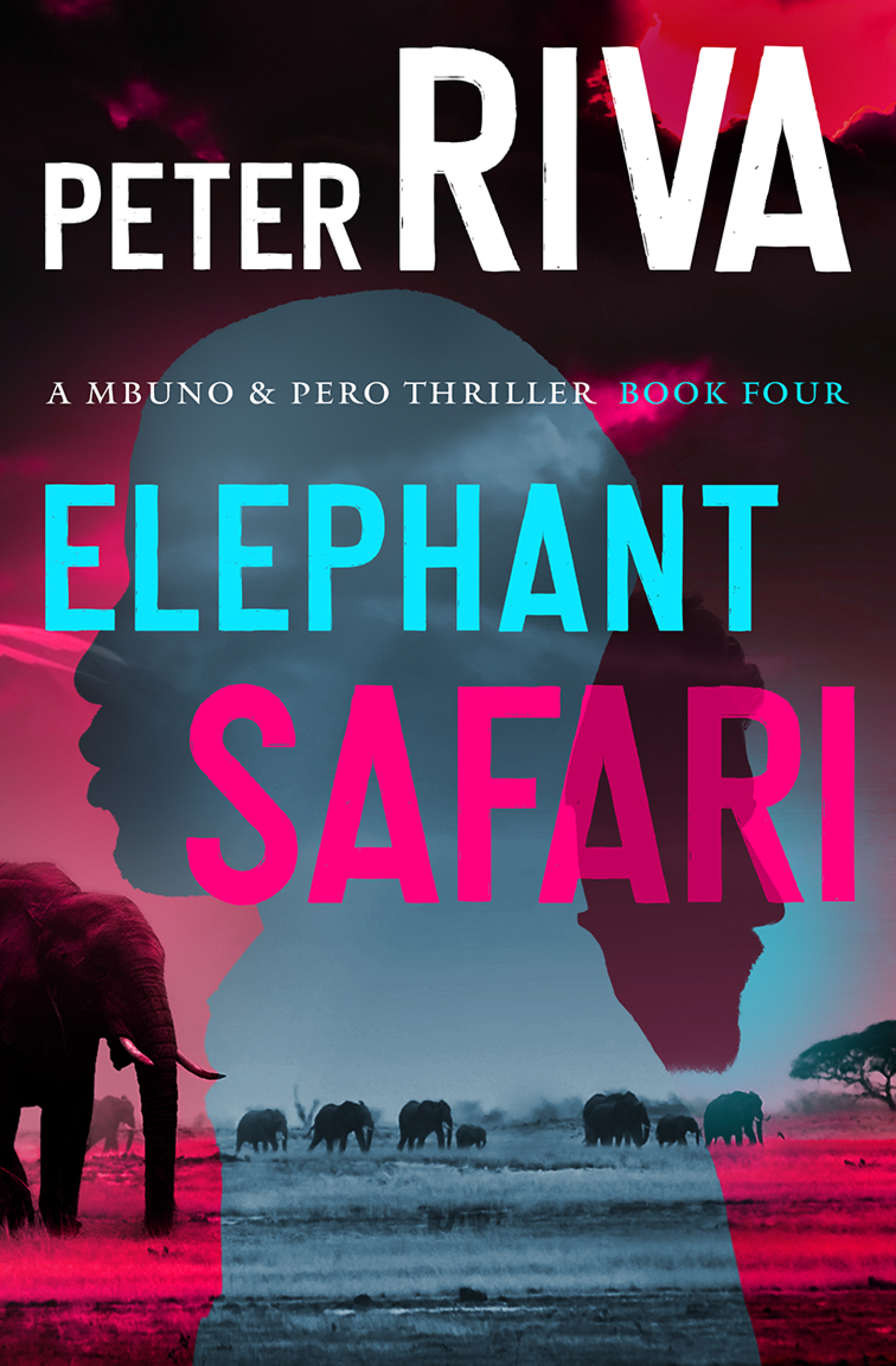 Elephant Safari by Peter Riva – July 24 – July 19, 2024